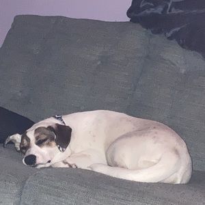 Meet your Posher, Jess